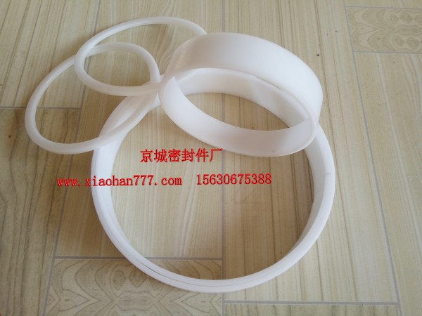 卡箍導(dǎo)向環(huán)_DM內(nèi)導(dǎo)向環(huán)